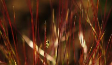 wall_213 | Блог Алексея Волкова