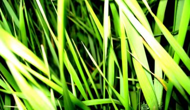 wall_349 | Блог Алексея Волкова