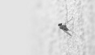 wall_175 | Блог Алексея Волкова