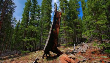 wall_88 | Блог Алексея Волкова