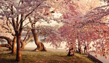 wall_2951 | Блог Алексея Волкова