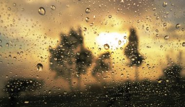 wall_50 | Блог Алексея Волкова