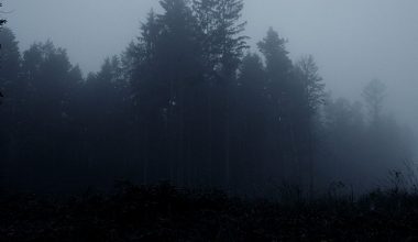 wall_31 | Блог Алексея Волкова