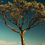 wall_39 | Блог Алексея Волкова