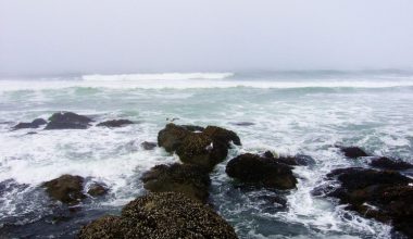 wall_18 | Блог Алексея Волкова