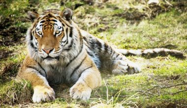 wall_3333 | Блог Алексея Волкова