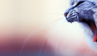 wall_3233 | Блог Алексея Волкова