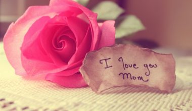 wall_3127 | Блог Алексея Волкова