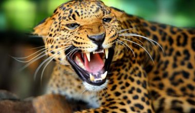 wall_2952 | Блог Алексея Волкова