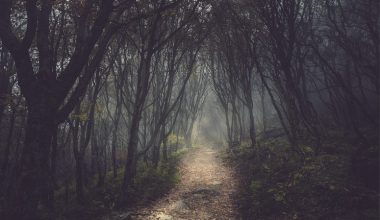 wall_2713 | Блог Алексея Волкова