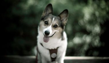 wall_2783 | Блог Алексея Волкова