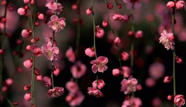 wall_2791 | Блог Алексея Волкова