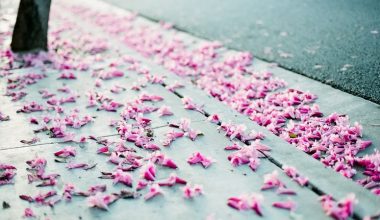 wall_2856 | Блог Алексея Волкова