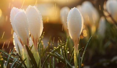 wall_1674 | Блог Алексея Волкова