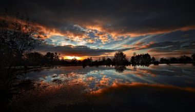 wall_2716 | Блог Алексея Волкова