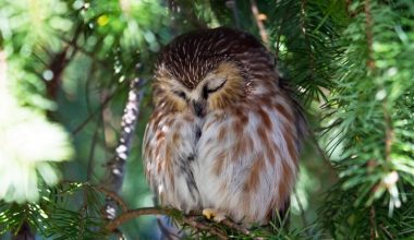 wall_2462 | Блог Алексея Волкова