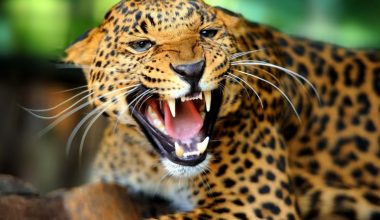 wall_2692 | Блог Алексея Волкова