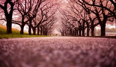 wall_2252 | Блог Алексея Волкова