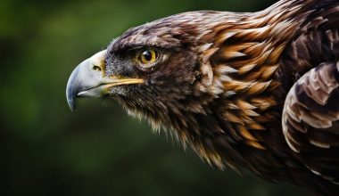 wall_2273 | Блог Алексея Волкова