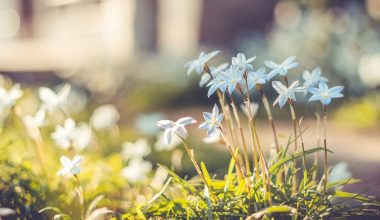 wall_2146 | Блог Алексея Волкова