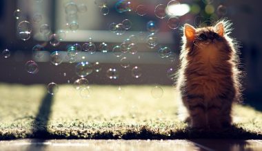 wall_1719 | Блог Алексея Волкова