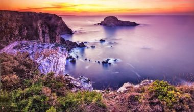 wall_1939 | Блог Алексея Волкова