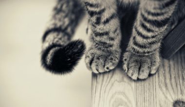 wall_1687 | Блог Алексея Волкова