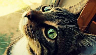 wall_1694 | Блог Алексея Волкова