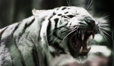 wall_1823 | Блог Алексея Волкова