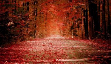 wall_1065 | Блог Алексея Волкова