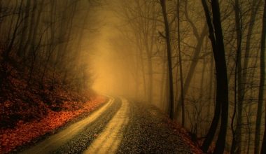 wall_1059 | Блог Алексея Волкова