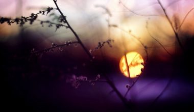 wall_1182 | Блог Алексея Волкова