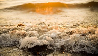 wall_1200 | Блог Алексея Волкова