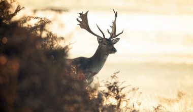 wall_1434 | Блог Алексея Волкова