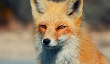 wall_1443 | Блог Алексея Волкова