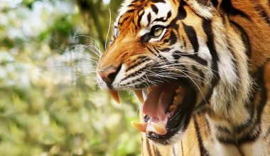 wall_1472 | Блог Алексея Волкова