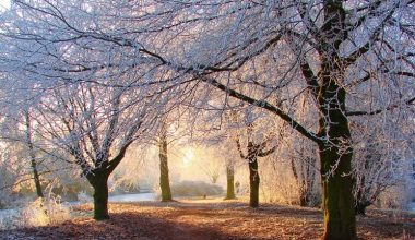 wall_574 | Блог Алексея Волкова