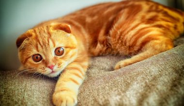 wall_987 | Блог Алексея Волкова