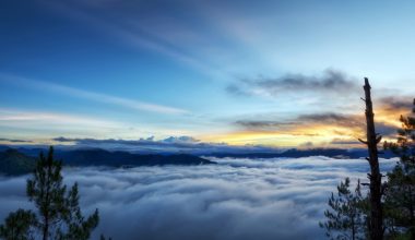 wall_993 | Блог Алексея Волкова