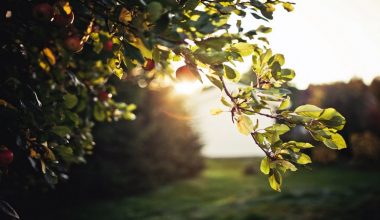 wall_933 | Блог Алексея Волкова