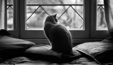 wall_967 | Блог Алексея Волкова