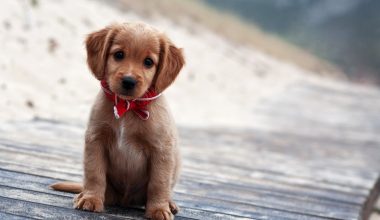 wall_788 | Блог Алексея Волкова