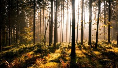 wall_802 | Блог Алексея Волкова