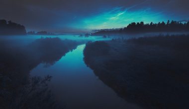 wall_646 | Блог Алексея Волкова
