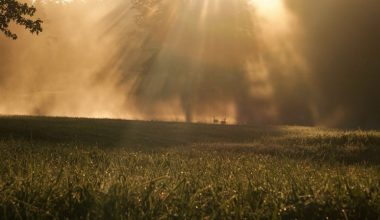 wall_451 | Блог Алексея Волкова