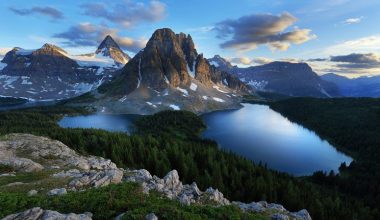 wall_205 | Блог Алексея Волкова