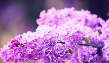 wall_235 | Блог Алексея Волкова