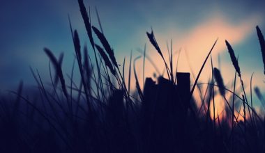 wall_198 | Блог Алексея Волкова