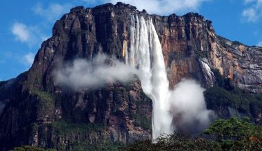 wall_200 | Блог Алексея Волкова