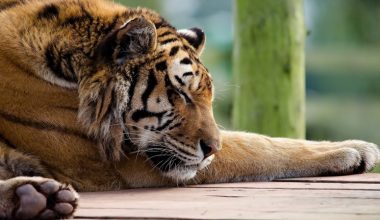 wall_75 | Блог Алексея Волкова